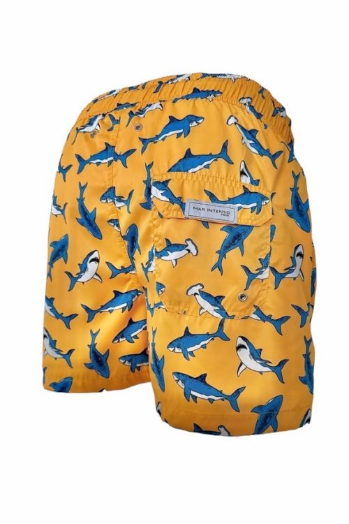 FBF1B68D-5DA2-4DF2-B243-54C495A1D44B_1_105_c